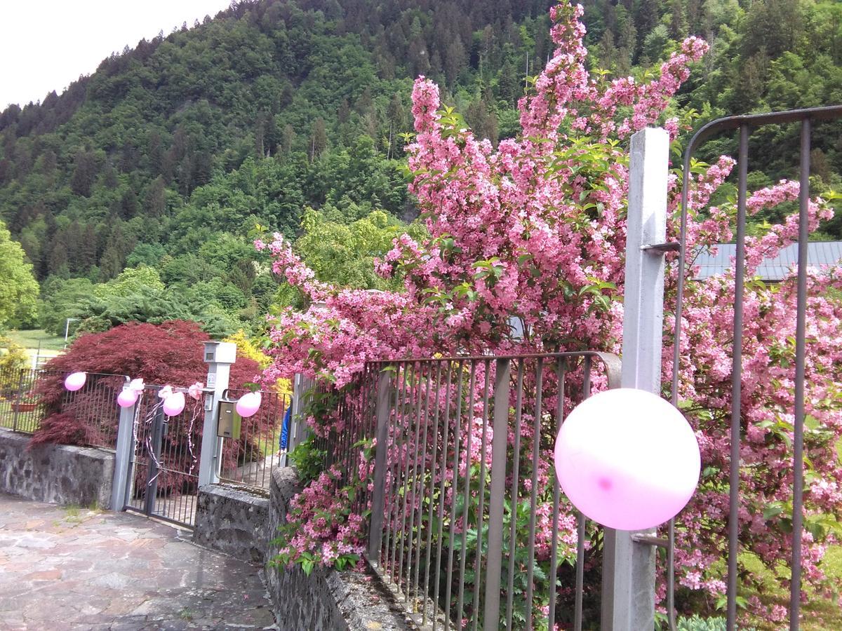 Casa per Ferie Paola di Rosa Hotel Arta Terme Esterno foto